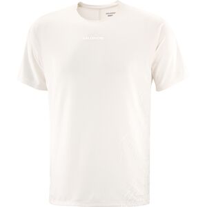 Salomon Men's Sense Aero Graphic Tee Gfx Whisper White / Iron L Salomon Men's Sense Aero Graphic Tee Gfx Whisper White / Iron L
