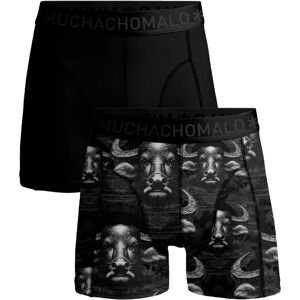 Muchachomalo 1010 Waterbuffalo 01 2pk Boxer Pr/sol Cm Black/grey Medium Muchachomalo 1010 Waterbuffalo 01 2pk Boxer Pr/sol Cm Black/grey Medium