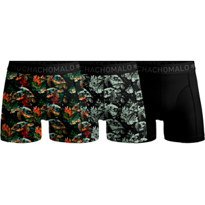Muchachomalo Turtle 01 3pk Boxer Print/print/solid Medium Muchachomalo Turtle 01 3pk Boxer Print/print/solid Medium