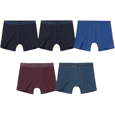 Panos Emporio 5pk Base Bamboo Boxer Navy/blue Quartz/bering Sea/vineyard Wine/navy XXL Panos Emporio 5pk Base Bamboo Boxer Navy/blue Quartz/bering Sea/vineyard Wine/navy XXL