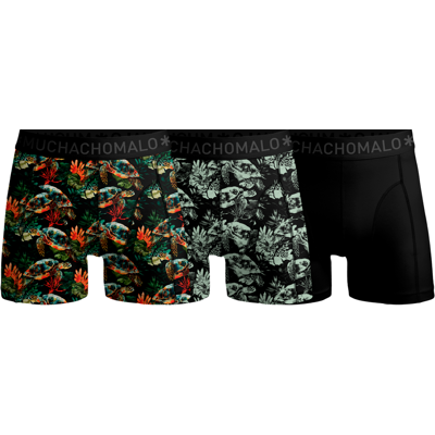 Muchachomalo Turtle 01 3pk Boxer Print/print/solid S Muchachomalo Turtle 01 3pk Boxer Print/print/solid S