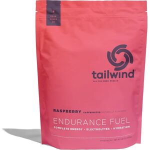 Tailwind Nutrition Endurance Fuel Raspberry Medium Medium Tailwind Nutrition Endurance Fuel Raspberry Medium Medium