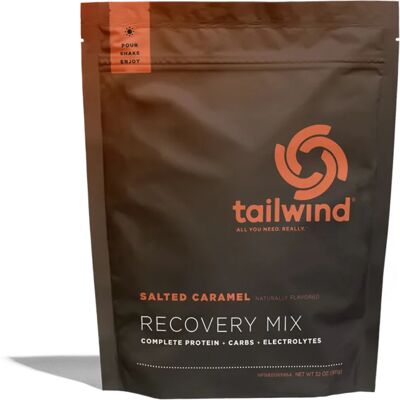 Tailwind Nutrition Rebuild Recovery Saltet Caramel Medium Tailwind Nutrition Rebuild Recovery Saltet Caramel Medium