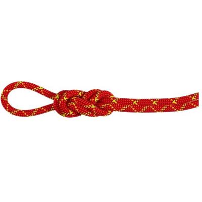 Mammut 8.0 Alpine Core Protect Dry Rope 40m Fire-halo 40 m Mammut 8.0 Alpine Core Protect Dry Rope 40m Fire-halo 40 m