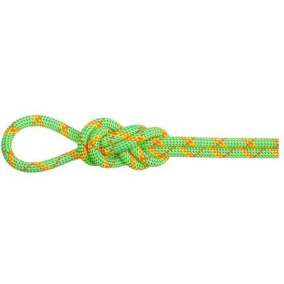 Mammut 8.0 Alpine Core Protect Dry Rope 50m Halo-vibrant Orange One size Mammut 8.0 Alpine Core Protect Dry Rope 50m Halo-vibrant Orange One size