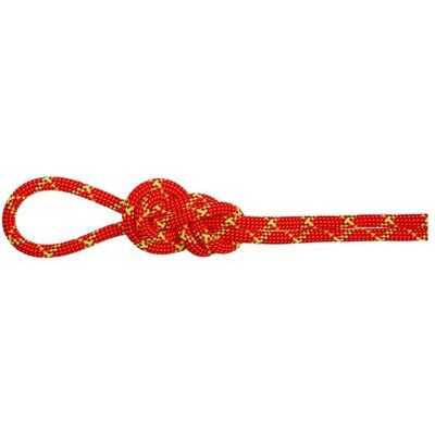 Mammut 8.0 Alpine Core Protect Dry Rope 50m Fire-halo One size Mammut 8.0 Alpine Core Protect Dry Rope 50m Fire-halo One size