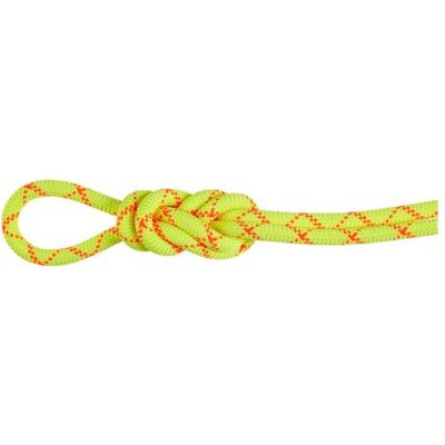 Mammut 9.5 Alpine Core Protect Dry Rope 80m Halo-vibrant Orange One size Mammut 9.5 Alpine Core Protect Dry Rope 80m Halo-vibrant Orange One size