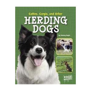 Gagne, Tammy Collies, Corgies, and Other Herding Dogs (1515703010)