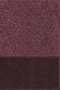 NRSV, Thinline Reference Bible, Large Print, Leathersoft, Burgundy, Thumb Indexed, Comfort Print (0310453313)