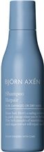 Björn Axén Repair Shampoo 75 ml