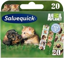 Salvequick Animal Planet 20 stk/pakke