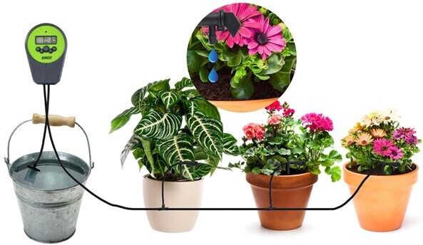 24hshop Digital blomstervanner