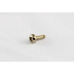 ALLPARTS GS-3206-001 Nickel Truss Rod Cover Screw