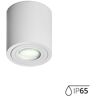 Aio Lampa Sufitowa Lupis M White 104501 Aio