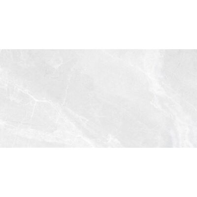 Ceramica Limone Płytka Babilon Silver Mat 60x120 Ceramica Limone Ceramica Limone Płytka Babilon Silver Mat 60x120 Ceramica Limone