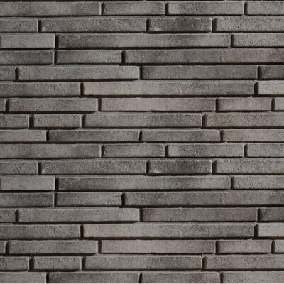Stegu Płytka Elewacyjna Dublin 3 Z Fugą 50x8,3 Stegu Stegu Płytka Elewacyjna Dublin 3 Z Fugą 50x8,3 Stegu