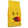 Kawa ziarnista Caffe Grano x Konesso Kamerun Oku 1kg