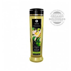 Shunga (CAN) Naturalny Olejek do Masażu Shunga Zielona Herbata 240ml   100% DYSKRECJI   BEZPIECZNE ZAKUPY