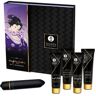 Zestaw Kosmetyków Shunga Naughty Geisha Kit   100% ORYGINAŁ  DYSKRETNA PRZESYŁKA