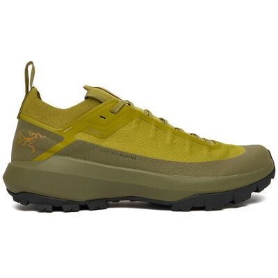 Arc'teryx Trekkingi Verte Alpine Gtx Gore-Tex X000009602 Zielony 41_13 Zielony Męskie Arc'teryx Trekkingi Verte Alpine Gtx Gore-Tex X000009602 Zielony 41_13 Zielony Męskie