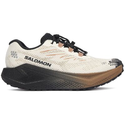 Salomon Buty do biegania Aero Blaze 4 gtx GORE-TEX L45403900 Beżowy 38_23 Beżowy Damskie Salomon Buty do biegania Aero Blaze 4 gtx GORE-TEX L45403900 Beżowy 38_23 Beżowy Damskie
