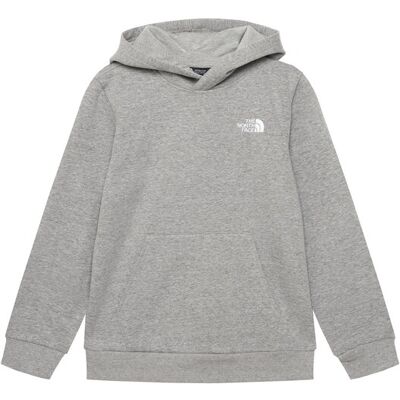 The North Face Bluza Teen Evolution Simple Dome NF0A8CV6 Szary Regular Fit L Szary Chłopiec The North Face Bluza Teen Evolution Simple Dome NF0A8CV6 Szary Regular Fit L Szary Chłopiec
