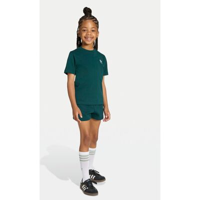 Adidas Komplet t-shirt i spodenki JY4875 Zielony Regular Fit 5_6Y Zielony Unisex Dziecko Adidas Komplet t-shirt i spodenki JY4875 Zielony Regular Fit 5_6Y Zielony Unisex Dziecko
