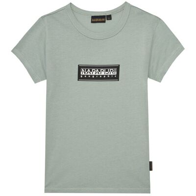 Napapijri T-Shirt Chamois NP0A4ILE D Zielony Regular Fit 16 Zielony Chłopiec Napapijri T-Shirt Chamois NP0A4ILE D Zielony Regular Fit 16 Zielony Chłopiec