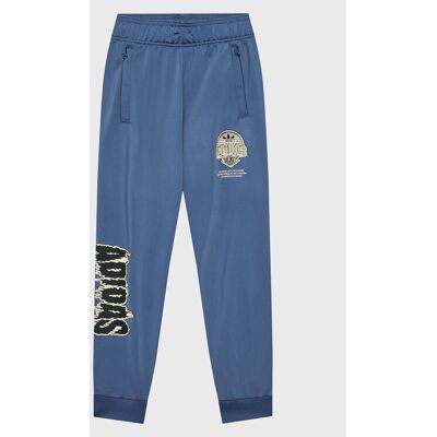 Adidas Spodnie dresowe Graphic Track HK2831 Niebieski Regular Fit 14_15Y Niebieski Unisex Dziecko Adidas Spodnie dresowe Graphic Track HK2831 Niebieski Regular Fit 14_15Y Niebieski Unisex Dziecko