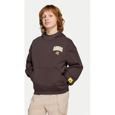 Adidas Bluza The Simpsons JL9181 Brązowy Loose Fit 9_10Y Brązowy Unisex Dziecko Adidas Bluza The Simpsons JL9181 Brązowy Loose Fit 9_10Y Brązowy Unisex Dziecko