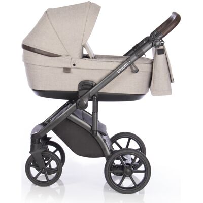 Roan Bloom (Truffle) Roan Bloom (Truffle)