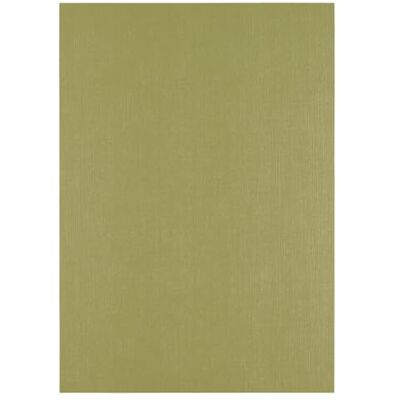 Creative Florence Zielony lniany papier 250 g papier do scrapbookingu A4 Akacja Kolorowy papier kartonowy Eleganckie zaproszenia, pudełka na prezenty i projekty artystyczne Creative Florence Zielony lniany papier 250 g papier do scrapbookingu A4 Akacja Kolorowy papier kartonowy Eleganckie zaproszenia, pudełka na prezenty i projekty artystyczne
