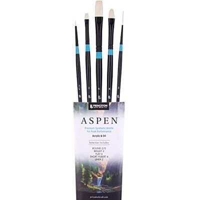Princeton Aspen 6500 Profesjonalne Pędzle Akrylowe, Syntetyczne do Malowania Olejnego, Akrylu i Gwaszu, Zestaw Artystyczny do Usuwania Princeton Aspen 6500 Profesjonalne Pędzle Akrylowe, Syntetyczne do Malowania Olejnego, Akrylu i Gwaszu, Zestaw Artystyczny do Usuwania