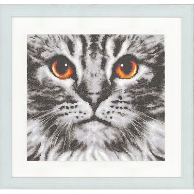Vervaco Haft Krzyżykowy Liczony Zestaw Obraz do Haftu KOT ZBLIŻENIE Zrób to Sam Zestaw Kreatywny dla Dorosłych ca. 23 x 21 cm Dekoracja Ścienna DIY Cross Stitch Kit Vervaco Haft Krzyżykowy Liczony Zestaw Obraz do Haftu KOT ZBLIŻENIE Zrób to Sam Zestaw Kreatywny dla Dorosłych ca. 23 x 21 cm Dekoracja Ścienna DIY Cross Stitch Kit