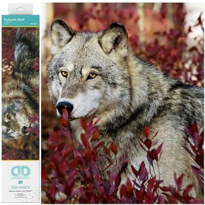 DIAMOND DOTZ DQ12-001 Squares Autumn Wolf, ok. 42 x 57 cm, malowanie diamentowe z diamentami, błyszczący obraz do samodzielnego wykonania, dla dzieci i dorosłych, kolorowy DIAMOND DOTZ DQ12-001 Squares Autumn Wolf, ok. 42 x 57 cm, malowanie diamentowe z diamentami, błyszczący obraz do samodzielnego wykonania, dla dzieci i dorosłych, kolorowy