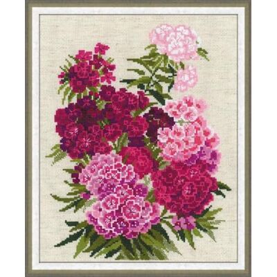 Riolis Zestaw do haftu krzy?ykowego 1463 Sweet William Riolis Zestaw do haftu krzy?ykowego 1463 Sweet William