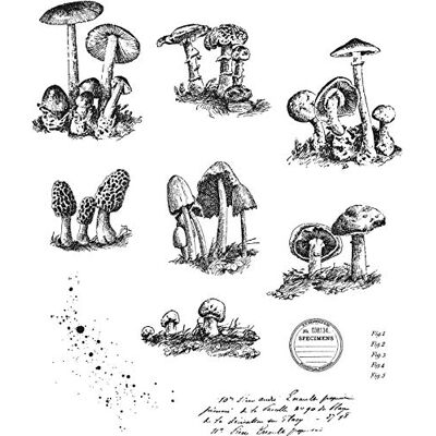 Stampers Anonymous Tim Holtz Stampers Anon Zestaw stempli RBBR do przyczepiania, małe muchomory, jeden rozmiar Stampers Anonymous Tim Holtz Stampers Anon Zestaw stempli RBBR do przyczepiania, małe muchomory, jeden rozmiar