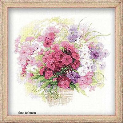 Riolis Phlox akwarelowy Riolis Phlox akwarelowy