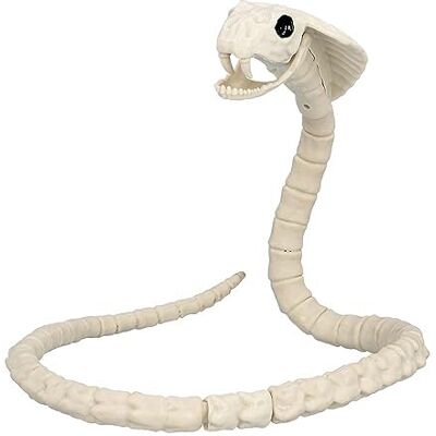 Boland 72417 Szkielet węża, rozmiar 102 cm, plastikowa atrapa, wąż, boa, wąż, dekoracja na Halloween, karnawał lub imprezę tematyczną Boland 72417 Szkielet węża, rozmiar 102 cm, plastikowa atrapa, wąż, boa, wąż, dekoracja na Halloween, karnawał lub imprezę tematyczną