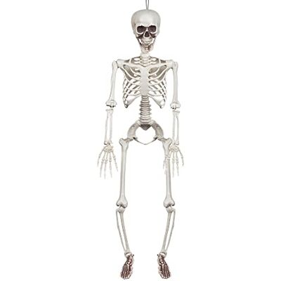 Boland 73042 Wiszący szkielet, rozmiar 90 cm, ruchome ręce i nogi, dekoracja, dekoracja wisząca, wieszak, Halloween, karnawał, impreza tematyczna Boland 73042 Wiszący szkielet, rozmiar 90 cm, ruchome ręce i nogi, dekoracja, dekoracja wisząca, wieszak, Halloween, karnawał, impreza tematyczna