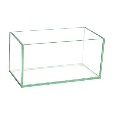 Royal Imports Szklany wazon na kwiaty, dekoracyjny element centralny do domu lub na ślub, podłużny prostokątny kształt (20 cm, przezroczysty) Royal Imports Szklany wazon na kwiaty, dekoracyjny element centralny do domu lub na ślub, podłużny prostokątny kształt (20 cm, przezroczysty)