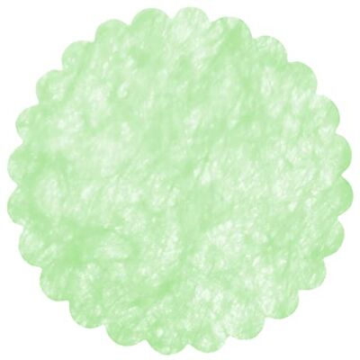 Ciao Koperta 24 dekoracje tnt efekt tkaniny Flower Poly Lab (Ø48cm), pastelowy zielony Ciao Koperta 24 dekoracje tnt efekt tkaniny Flower Poly Lab (Ø48cm), pastelowy zielony