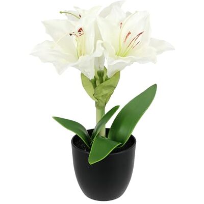 Flair Flower Sztuczne amarylis w doniczce, 28 cm, kwiat bożonarodzeniowy, jedwabny kwiat, dekoracja bożonarodzeniowa, kwiaty zimowe, florystyka, aranżacja w doniczce, na Boże Narodzenie, sztuczne kwiaty, białe Flair Flower Sztuczne amarylis w doniczce, 28 cm, kwiat bożonarodzeniowy, jedwabny kwiat, dekoracja bożonarodzeniowa, kwiaty zimowe, florystyka, aranżacja w doniczce, na Boże Narodzenie, sztuczne kwiaty, białe