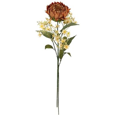 Flair Flower Sztuczne kwiaty Protea zestaw 2 gałązek, 70 cm, jedwabny kwiat, łodyga, sztuczne pojedyncze kwiaty, jak prawdziwe, do wazonu, pojedyncza gałąź, jesienna gałąź, jesienna gałąź, jesienna dekoracja, Flair Flower Sztuczne kwiaty Protea zestaw 2 gałązek, 70 cm, jedwabny kwiat, łodyga, sztuczne pojedyncze kwiaty, jak prawdziwe, do wazonu, pojedyncza gałąź, jesienna gałąź, jesienna gałąź, jesienna dekoracja,