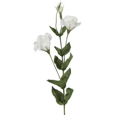 BELLAFIORA 01AMAZ022514 sztuczne kwiaty, Lizantus, 2 kwiaty, 80 cm, białe BELLAFIORA 01AMAZ022514 sztuczne kwiaty, Lizantus, 2 kwiaty, 80 cm, białe