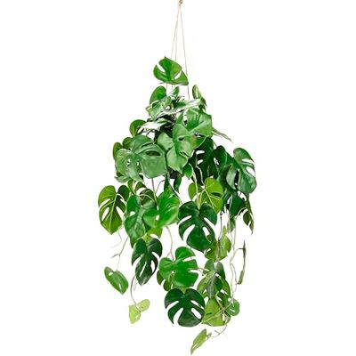 Flair Flower Wisząca sztuczna roślina Splitphilo wisząca wisząca roślina wisząca w doniczce, girlanda z liści, monstera, egzotyczna roślina pokojowa, jedwabne kwiaty, roślina dekoracyjna, zielona, jedwabna roślina Flair Flower Wisząca sztuczna roślina Splitphilo wisząca wisząca roślina wisząca w doniczce, girlanda z liści, monstera, egzotyczna roślina pokojowa, jedwabne kwiaty, roślina dekoracyjna, zielona, jedwabna roślina