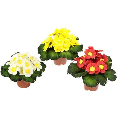 Flair Flower Sztuczny kwiat pierwotny z liśćmi w doniczce, roślina syntetyczna, jedwabny kwiat, roślina pokojowa, kwiat, prula, klucze, sztuczne rośliny wiosenne, dekoracja Flair Flower Sztuczny kwiat pierwotny z liśćmi w doniczce, roślina syntetyczna, jedwabny kwiat, roślina pokojowa, kwiat, prula, klucze, sztuczne rośliny wiosenne, dekoracja
