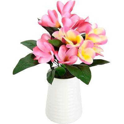 Flair Flower Frangipani w doniczce Plumeria sztuczny kwiat wosku, dekoracja stołu, dekoracja stołu, dekoracja weselna, sztuczne kwiaty, roślina pokojowa, sztuczna roślina kwiatowa, dekoracja kwiatowa Flair Flower Frangipani w doniczce Plumeria sztuczny kwiat wosku, dekoracja stołu, dekoracja stołu, dekoracja weselna, sztuczne kwiaty, roślina pokojowa, sztuczna roślina kwiatowa, dekoracja kwiatowa