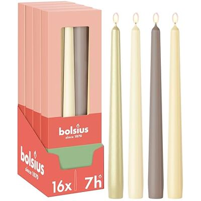 bolsius Gładkie Świece Stożkowe – Zestaw 16 sztuk – Pillow Talk – Dekoracyjne świece do domu – Długi czas palenia – Bezzapachowe – Naturalny wosk roślinny – Bez oleju palmowego bolsius Gładkie Świece Stożkowe – Zestaw 16 sztuk – Pillow Talk – Dekoracyjne świece do domu – Długi czas palenia – Bezzapachowe – Naturalny wosk roślinny – Bez oleju palmowego