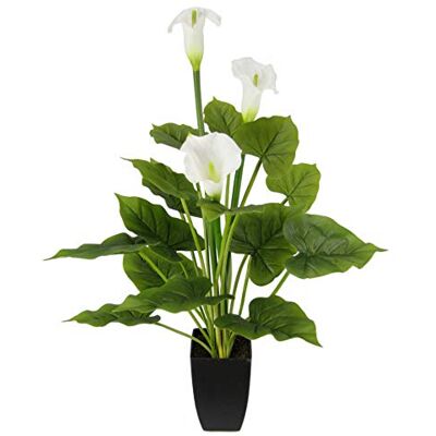 Flair Flower Sztuczna roślina Calla w doniczce, sztuczne kwiaty, jedwabne kwiaty, kallabak, dekoracja, prawdziwa w dotyku, roślina pokojowa, zielona roślina doniczkowa, bukiety kwiatów, egzotyczna lilia, dekoracja Flair Flower Sztuczna roślina Calla w doniczce, sztuczne kwiaty, jedwabne kwiaty, kallabak, dekoracja, prawdziwa w dotyku, roślina pokojowa, zielona roślina doniczkowa, bukiety kwiatów, egzotyczna lilia, dekoracja